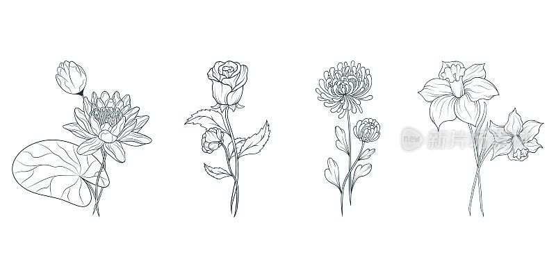 四幅手绘花集。病媒分离夏花药草和花蕾为婚礼请柬。
