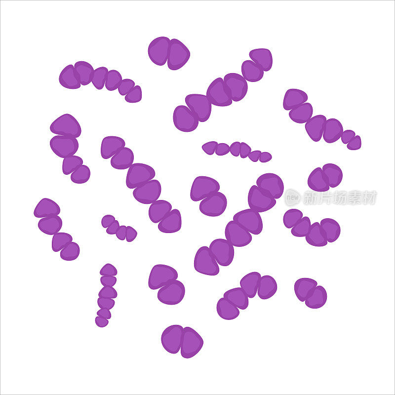 肺炎链球菌细胞医学图图标