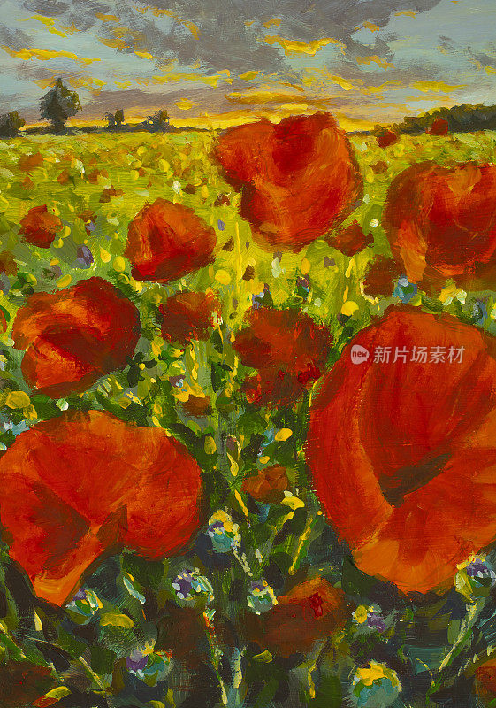 大红花罂粟在草地印象派油画罂粟田在日落。