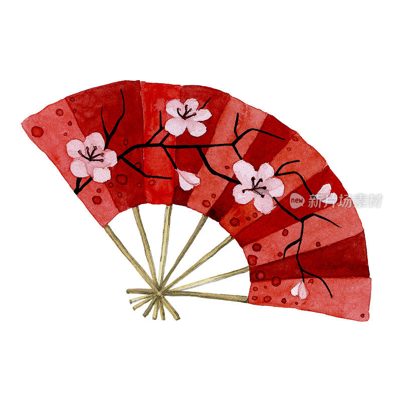 水彩绘画。日本球迷。红扇配樱花过年