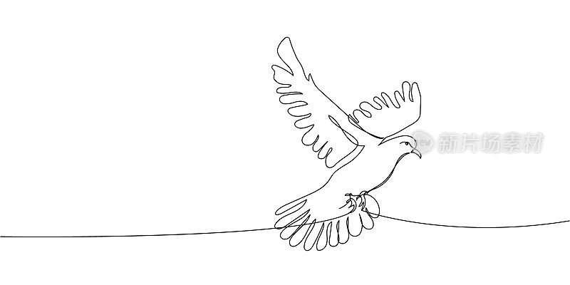 鸽子扇动翅膀连续画线。一行艺术时间的爱情，鸟，关系，恋人，翅膀，飞翔，安逸，感情，美好，象征。