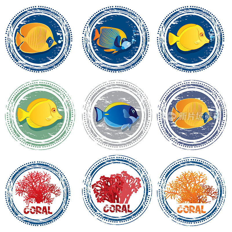 热带鱼邮票