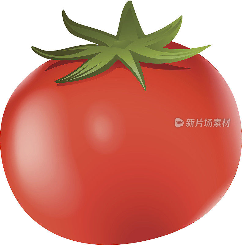 大的成熟的西红柿