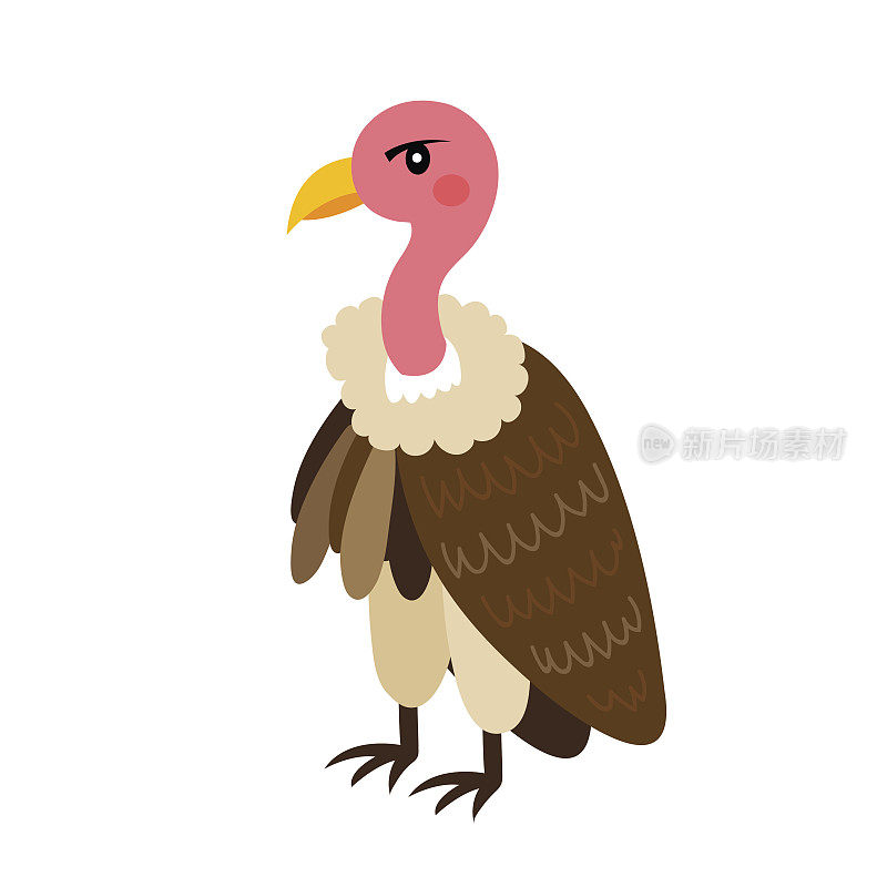 鹰鸟动物卡通人物矢量插图