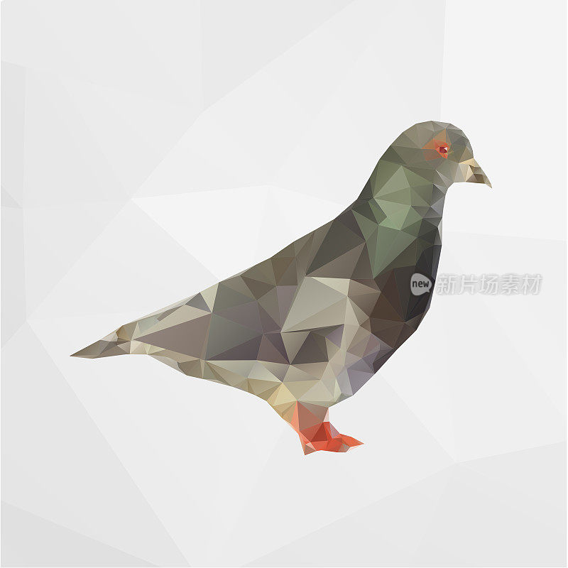 矢量插图的多边形鸽子鸟孤立在几何白色背景。