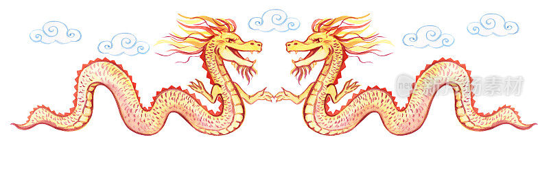 中国龙。水彩画的金龙。中国新年。假期。白色背景上的龙。
