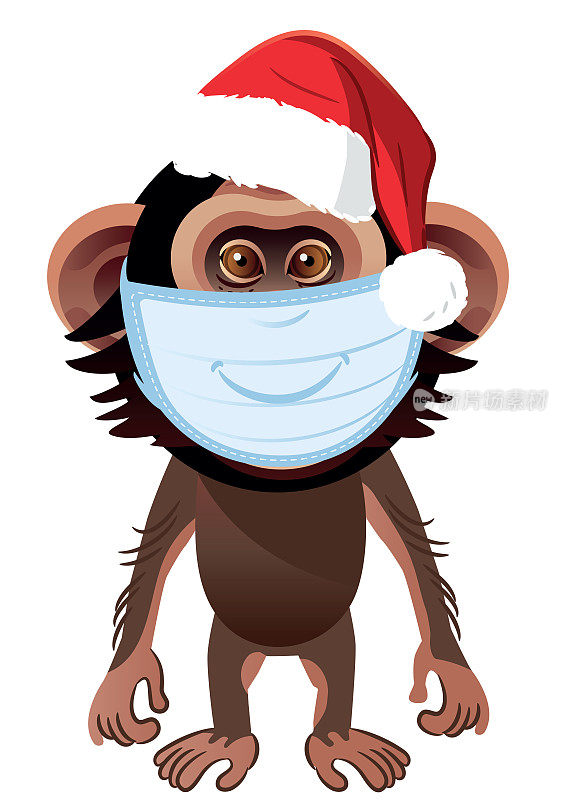 医用面具黑猩猩和圣诞帽
