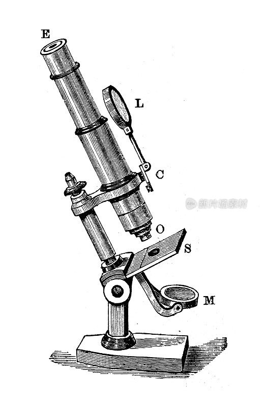 古董插图:显微镜