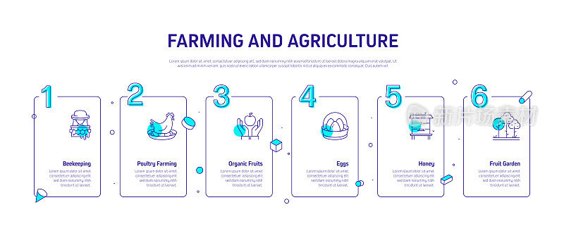 农业和农业相关过程信息图模板。过程时间图。带图标的工作流布局