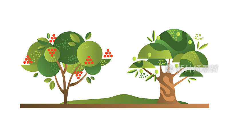 果树与成熟的果实，花楸和橄榄园树平面矢量插图