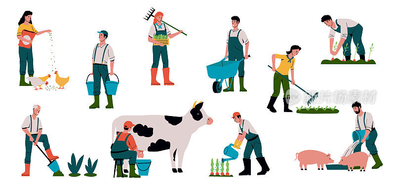 农业和动物农场。卡通农民在田里干活。人们饲养牲畜或奶牛。园丁出售作物和照顾植物。有机食品。矢量农田工人集