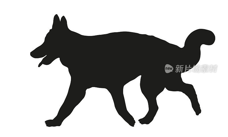 奔跑的长毛德国牧羊犬小狗。黑狗轮廓。宠物的动物。孤立在白色背景上。