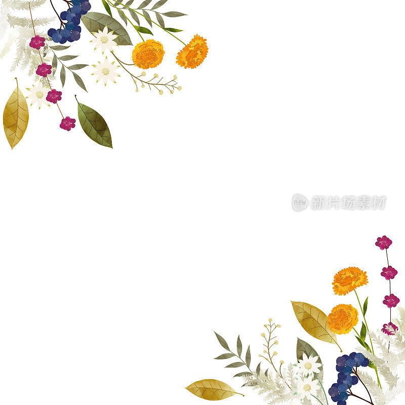 秋叶和坚果的背景插图。