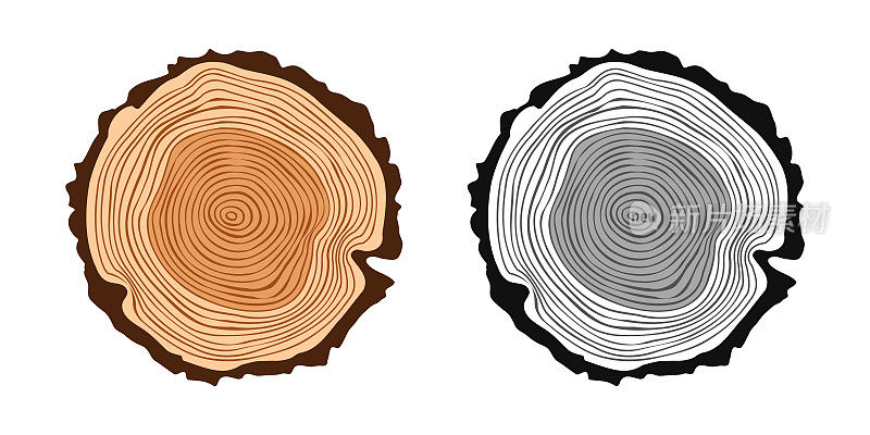 圆形树干切割成各种颜色，锯松或橡木片，木材。锯子砍木头，木头。棕色木质纹理，带有树的年轮。手绘草图。矢量图