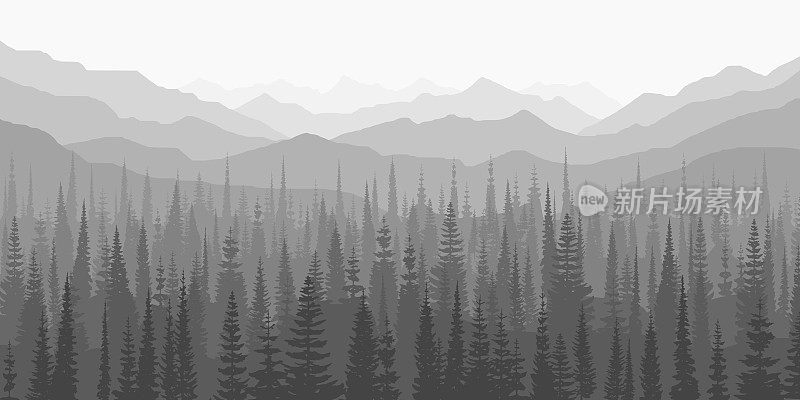 针叶林和群山在晨雾中，景色黑白分明
