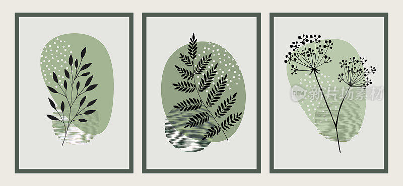 三套极简风格的植物插图和绿色海报，t恤印刷，封面，横幅。