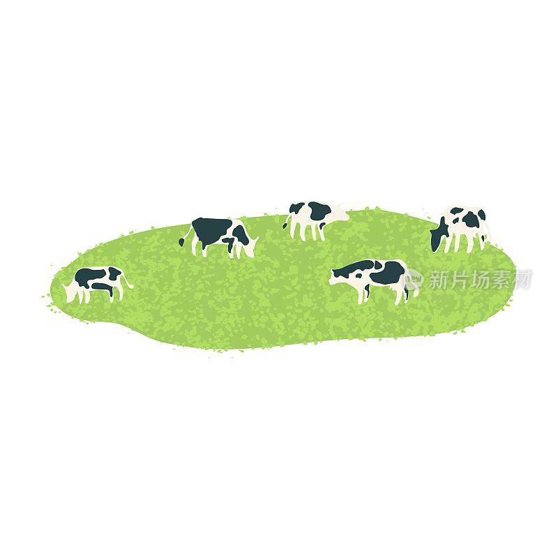 草地上一群牛的插图
