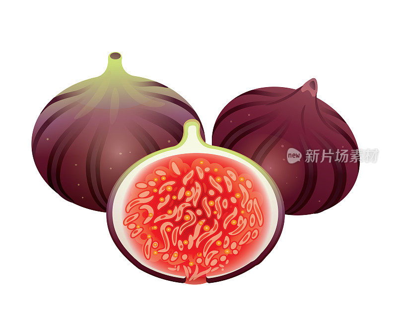 无花果