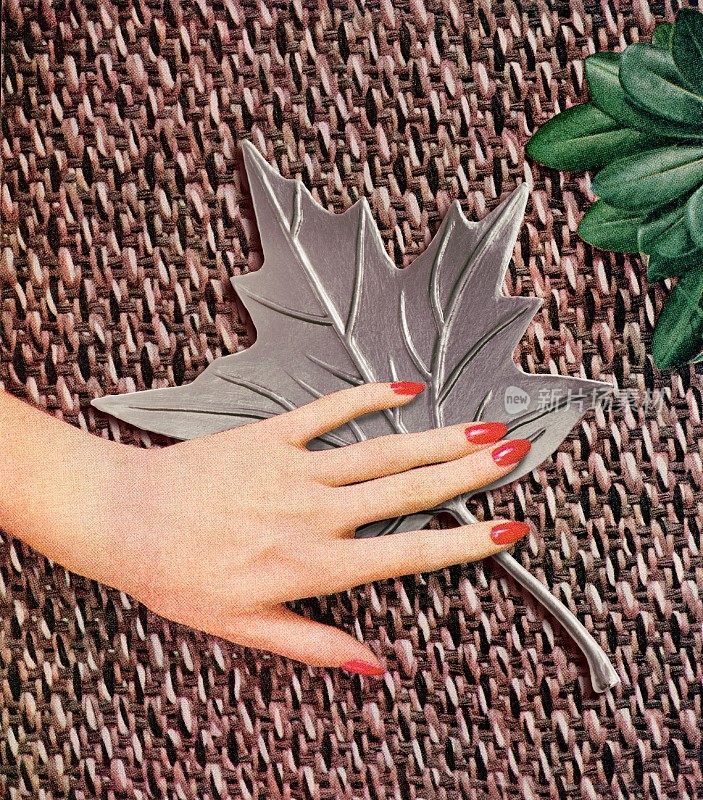 女人的手和叶子