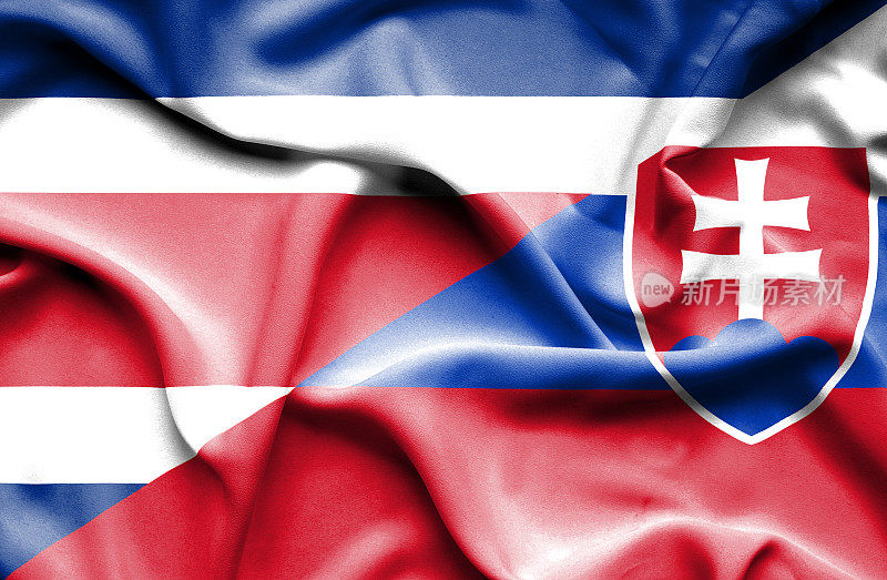 挥舞着斯洛伐克和哥斯达黎加的旗帜
