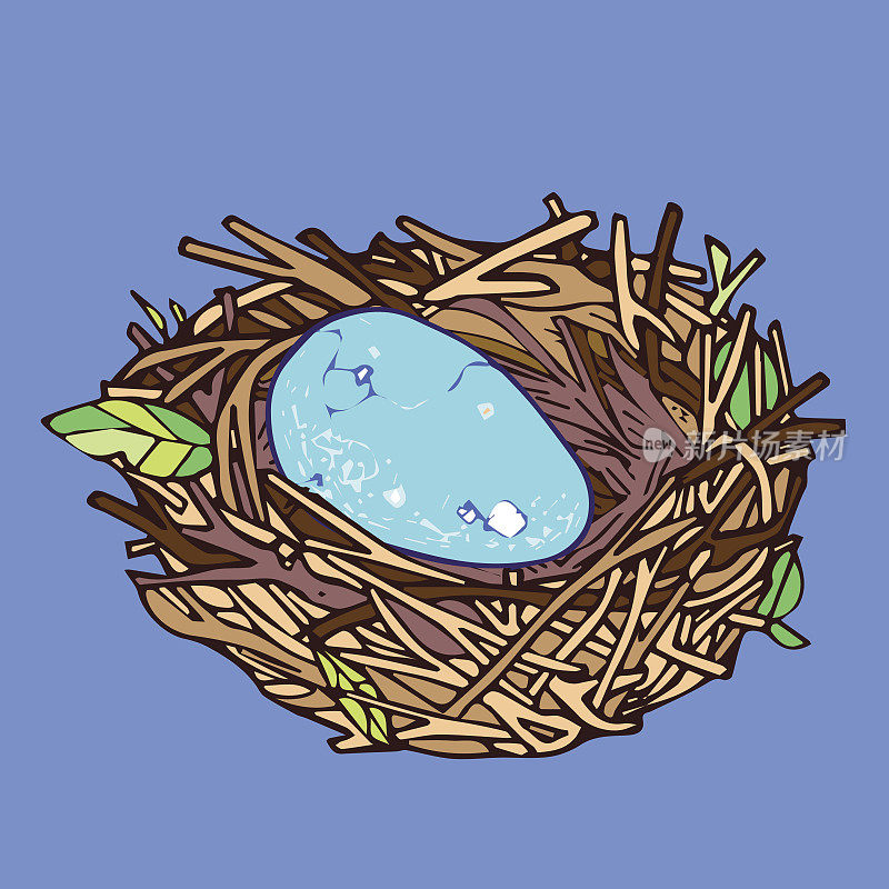 蛋巢