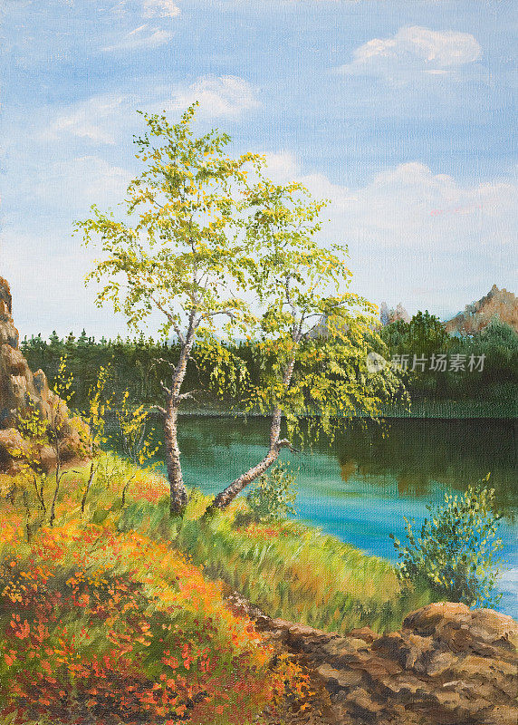 山湖岸边的桦树。秋天。