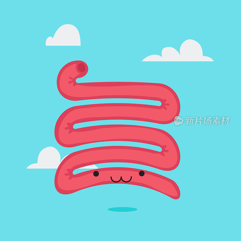 small-intestine-characters-07