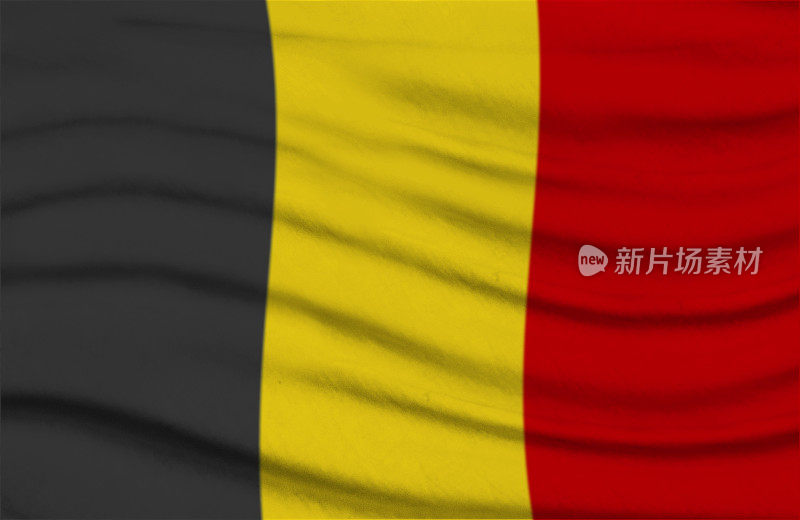 比利时挥舞着国旗