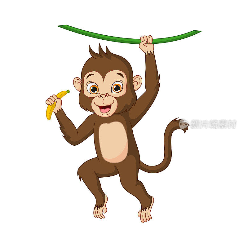 可爱的小猴子挂在树枝上。猴子拿香蕉
