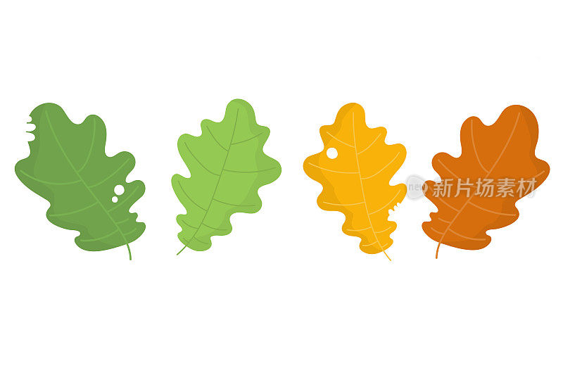 季节特定的橡树叶图标。秋天的落叶。