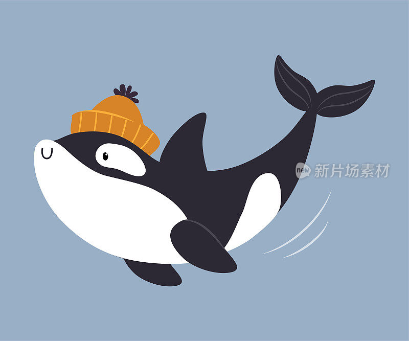 可爱的虎鲸或逆戟鲸作为北极动物游泳针织帽子矢量插图