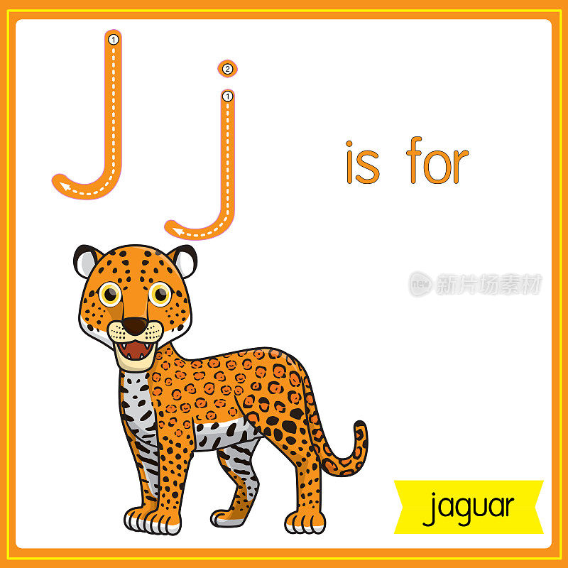 矢量插图学习字母为儿童与卡通形象。字母J代表美洲虎。