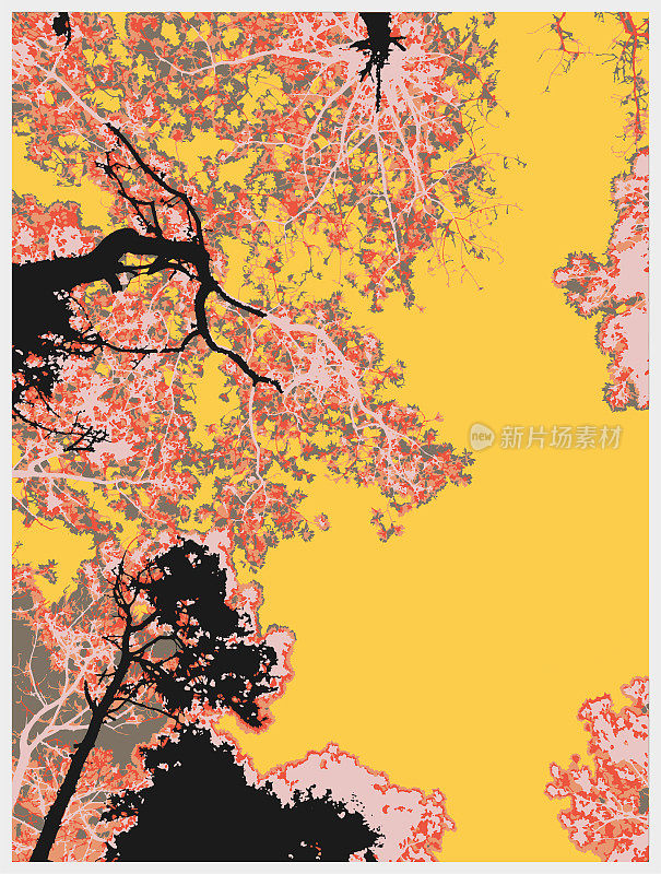 色彩自然植物松树纹理背景
