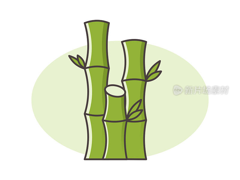 在淡绿色和白色的背景上有绿叶的竹子植物