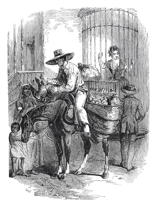 古巴哈瓦那卖鸡的人雕刻于1853年