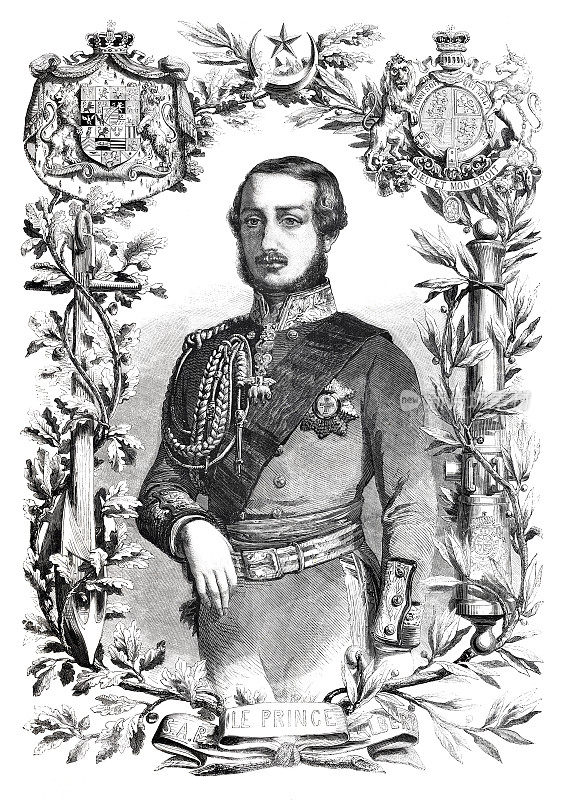 萨克森-科堡和哥达的阿尔伯特亲王肖像，1855年