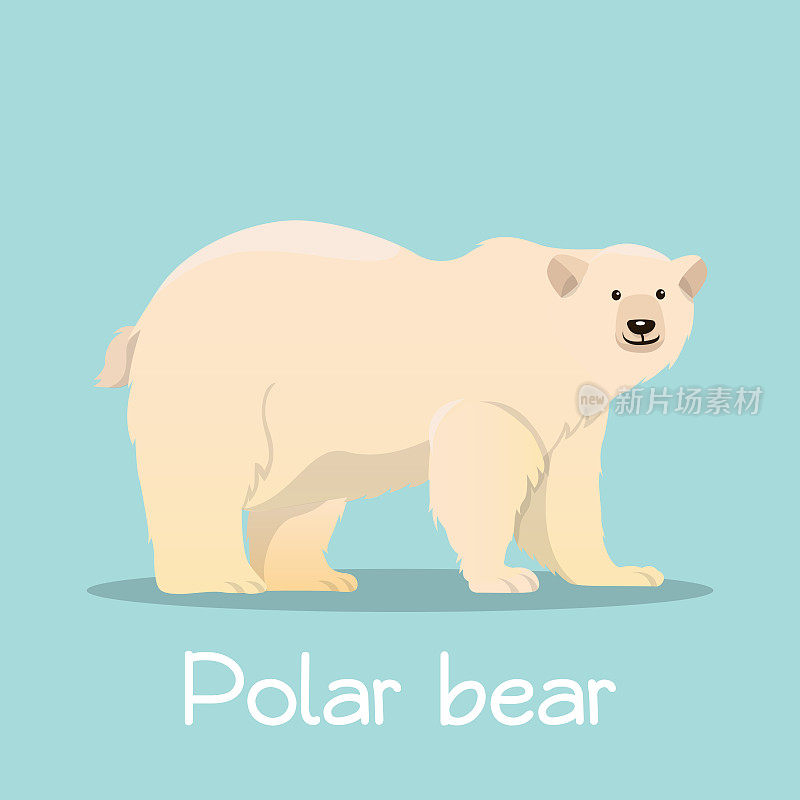 可爱的北极熊在海冰插图desian在天蓝色的背景。矢量