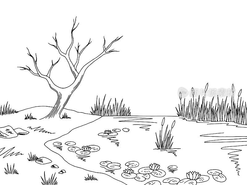 沼泽沼泽图形黑白景观草图插图矢量