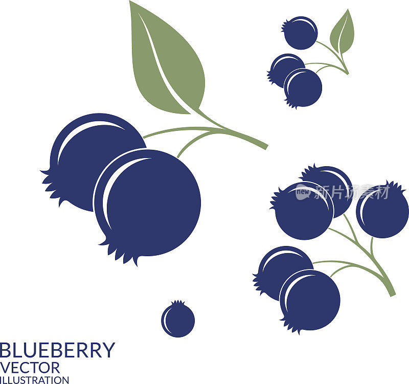 蓝莓。集
