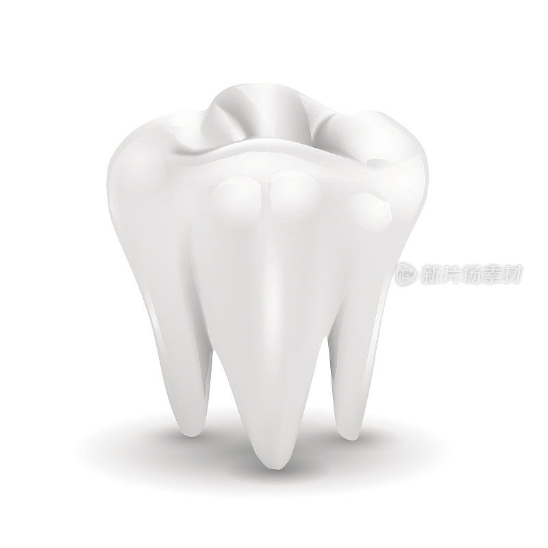 牙齿孤立在一个白色的背景