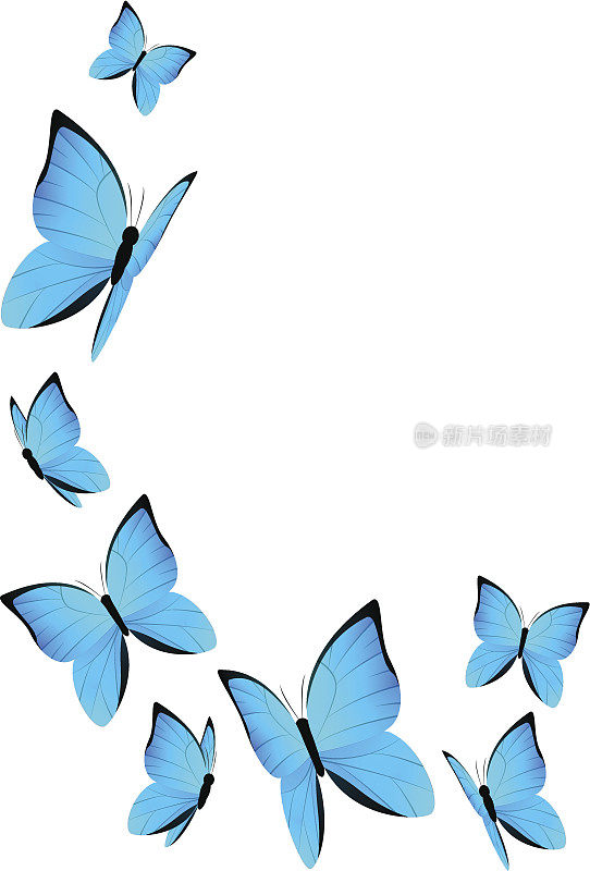 蓝色蝴蝶为您的设计