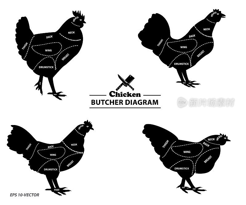 鸡的轮廓或屠夫的图表或部分母鸡屠夫的概念。