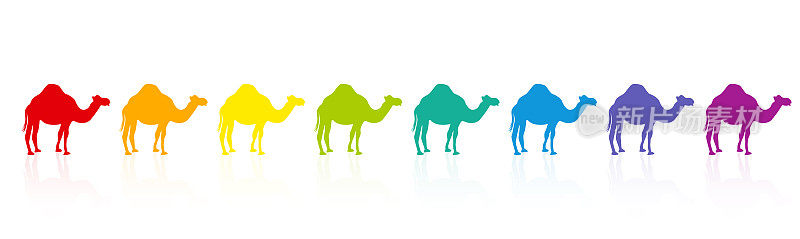 七彩骆驼商队，七彩游行，彩虹谱。白色背景上有趣的漫画插图。
