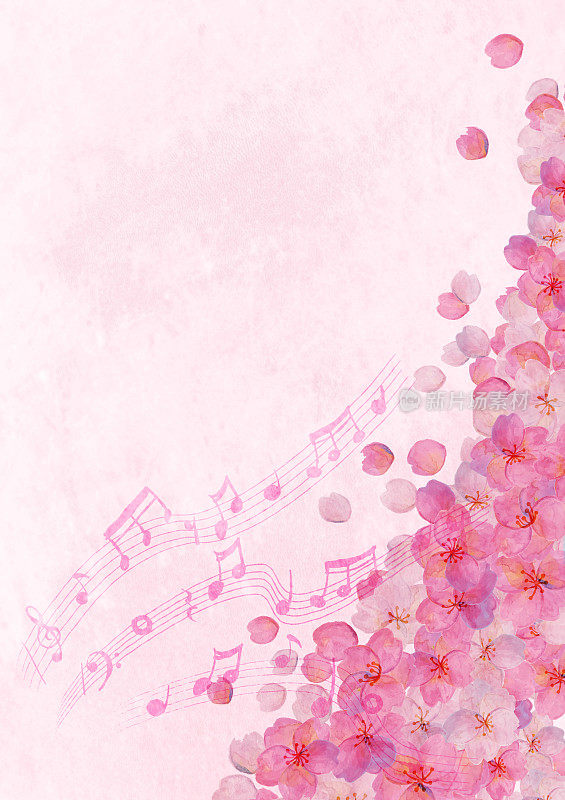樱花和音乐笔记背景材料日式日式图案花见美吉野