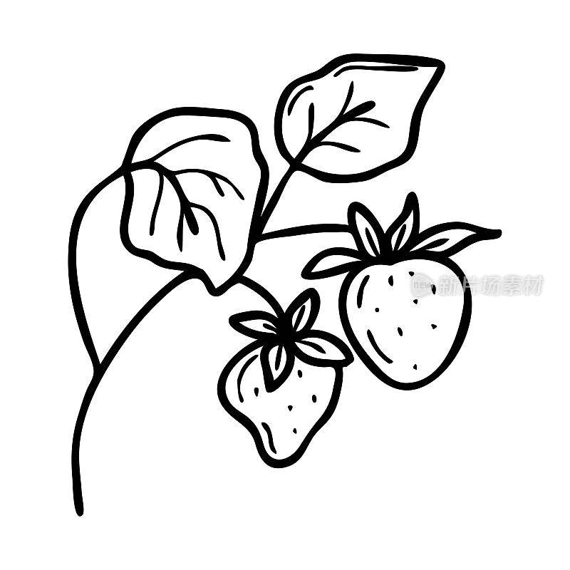 野草莓。草莓矢量插图绘制的手。野生浆果图标。