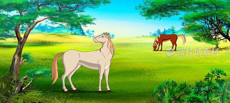 白马在田野里吃草