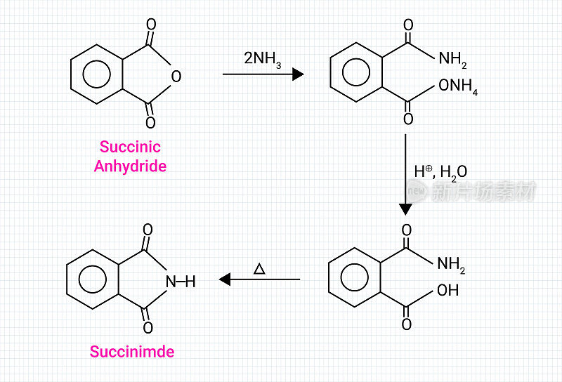 琥珀酰亚胺的化学结构