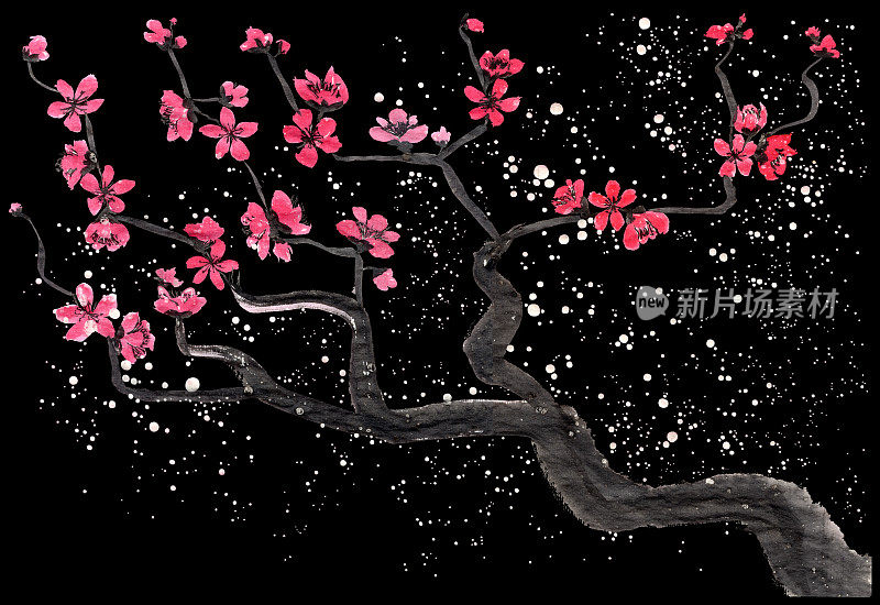 东方新年贺卡。日本传统画风Sumi-e在黑色背景上的中国梅花和盛开的树枝