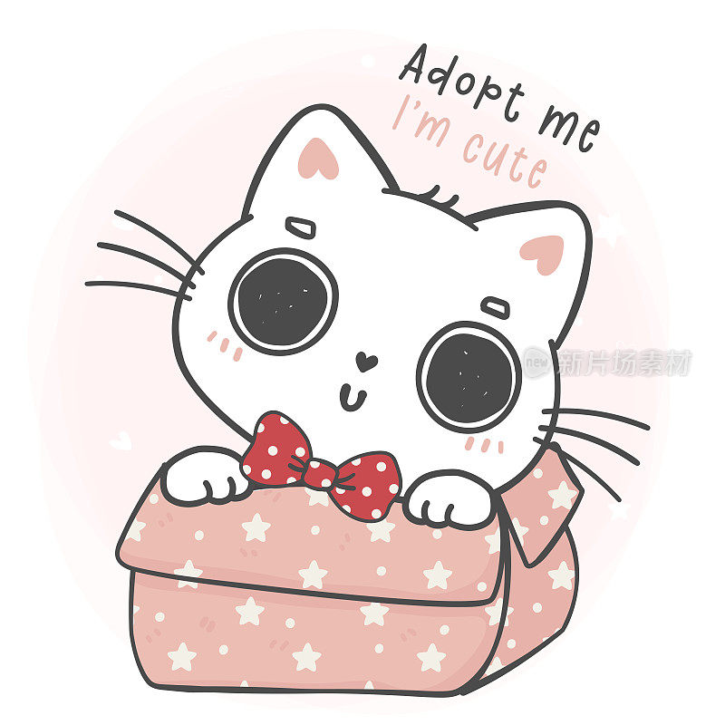 可爱可爱的白色小猫猫戴着红色的蝴蝶结在粉红色的盒子请眼睛，收养我，我是可爱的。可爱的卡通动物宠物手绘矢量