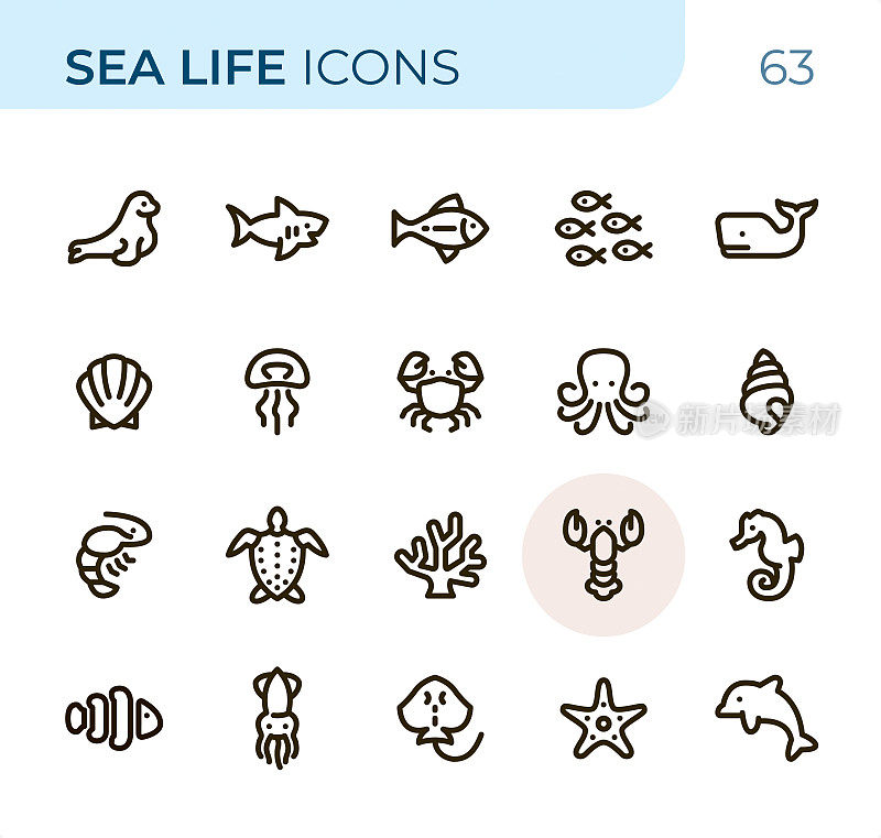 海洋生物和海洋动物-像素完美的单色线图标